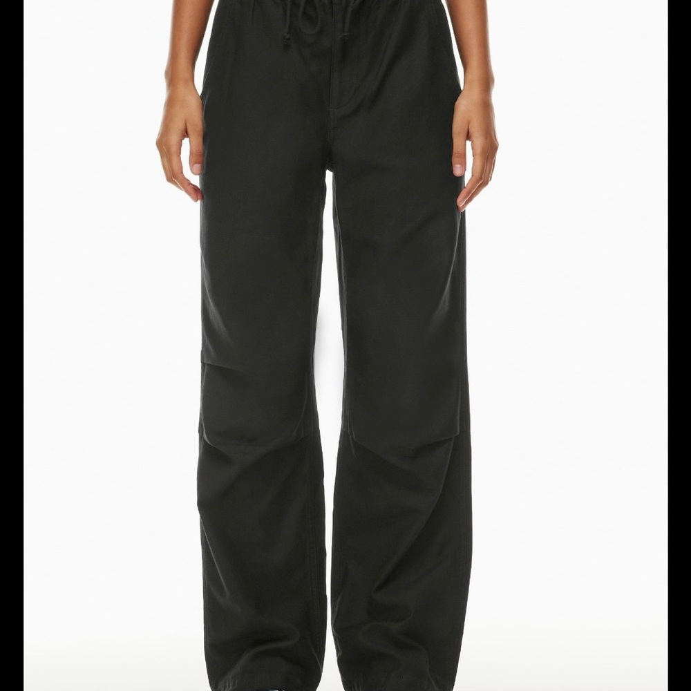 Aritzia cache cargo pants
